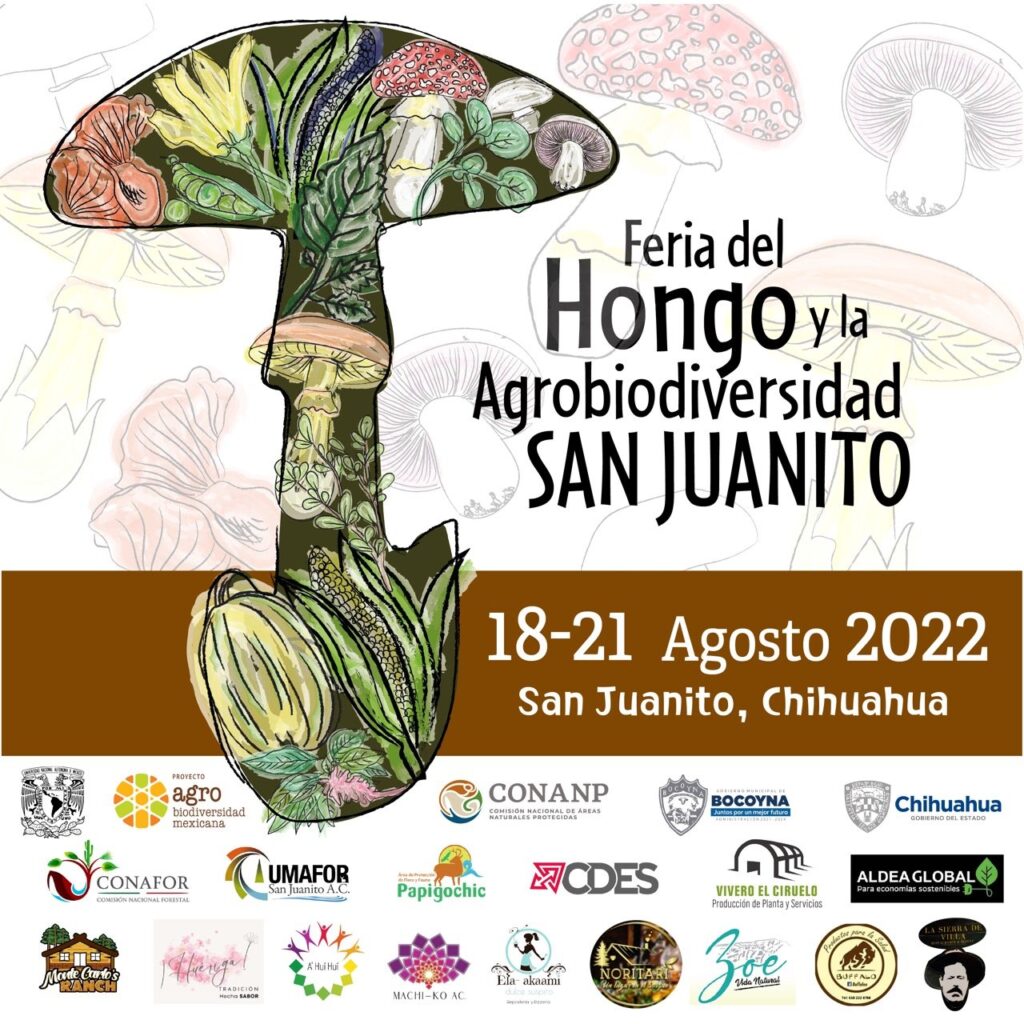 Realizarán Feria del Hongo en San Juanito, en el mes de agosto