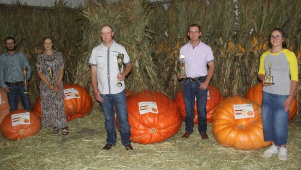 Invitan al Festival de la Calabaza en Cuauhtémoc Contacto Occidente